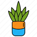 plant, ecology, plant on pot, pot