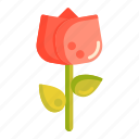 flora, flower, rose