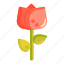 flora, flower, rose 