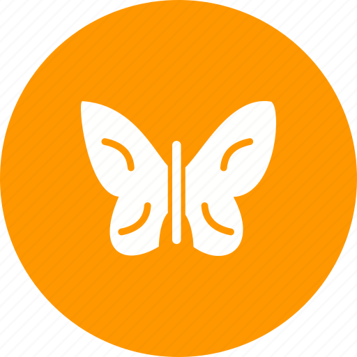 Beauty, butterflies, butterfly, colorful, flower, nature, summer icon - Download on Iconfinder