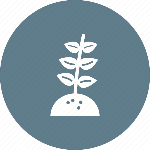 Decoration, flower, garden, nature, plant, pot, spring icon - Download on Iconfinder