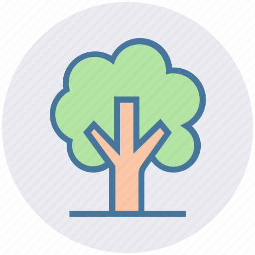 Ecology, environment, green, nature, park, plant, tree icon - Download on Iconfinder