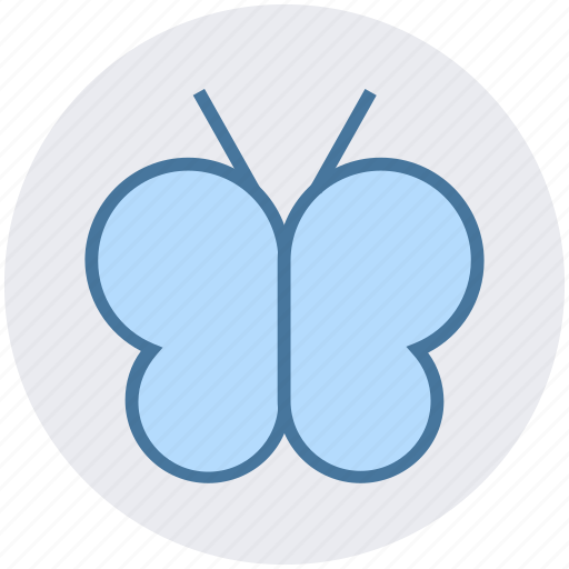 Butterfly, cute, eco, ecology, environment, fly, insect icon - Download on Iconfinder