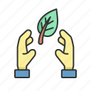 ecology, hand, nature, green, eco, plant, leaf