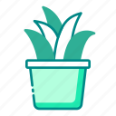 plant, ecology, environment, eco, potted plant