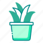plant, ecology, environment, eco, potted plant 