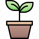 sprout, grow, chart, garden, ecology, business, nature, growth