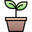 sprout, grow, chart, garden, ecology, business, nature, growth 