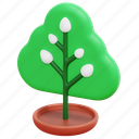 tree, plant, nature, environment, eco, ecology, green, 3d 
