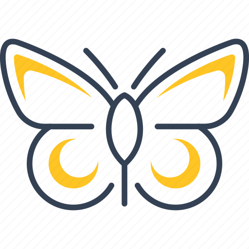 Animal, bio, butterfly, ecotourism icon - Download on Iconfinder