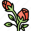 rose, flower, blossom, aroma, plant 