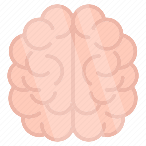 Brain, mind, cerebrum, human organ, intelligence icon - Download on Iconfinder