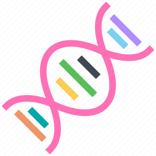 Education, dna, genetic, helix, molecule icon - Download on Iconfinder