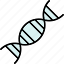 dna, sequence, strand, gene, genetic