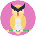 owl education, owl with pencil, professional education concept, wise owl symbol 