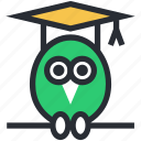 graduate owl, graduation, owl degree, owl sage, wisdom