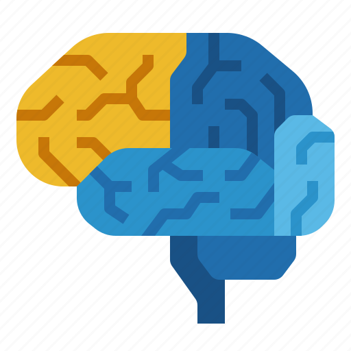 Brain, intelligent, mind, organ, think icon - Download on Iconfinder