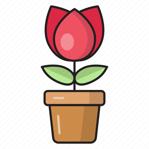 Flower, growth, nature, plant, rose icon - Download on Iconfinder