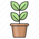 education, green, growth, leaf, plant