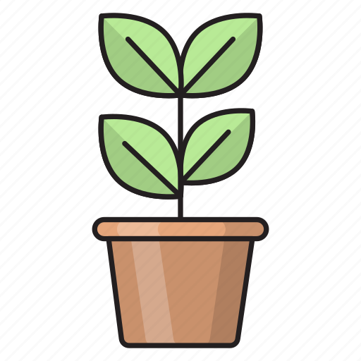 Education, green, growth, leaf, plant icon - Download on Iconfinder