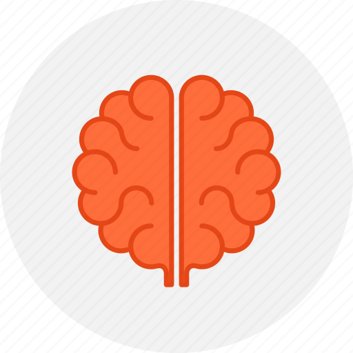 Anatomy, brain, education, idea, intelligence, mind, brainstorm icon - Download on Iconfinder