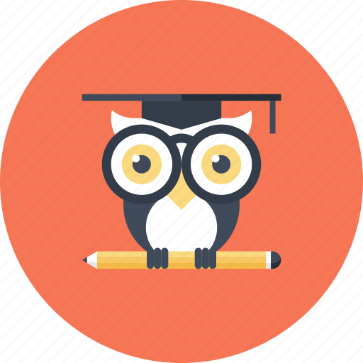 Bird, education, intelligence, knowledge, owl, school, wisdom icon - Download on Iconfinder