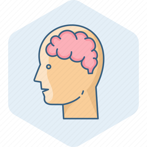 Brain, human, man, mind, process, thought, user icon - Download on Iconfinder