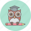 owl, teacher, bird, classroom, education, knowledge, professor 