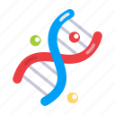 double helix, dna, deoxyribonucleic acid, genetic material, gene study