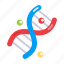 double helix, dna, deoxyribonucleic acid, genetic material, gene study 