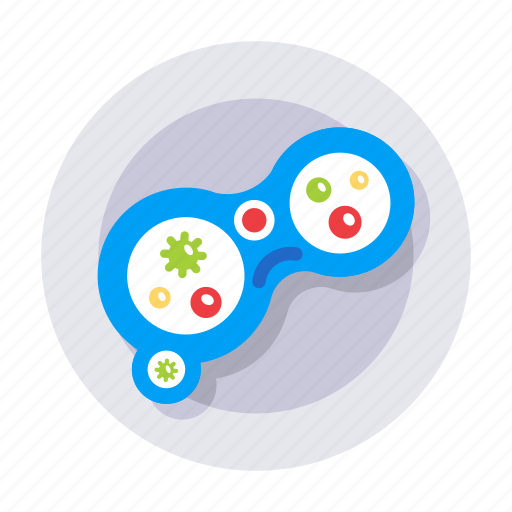 Cell division, mitosis, cell splitting, human cells, cellular reproduction icon - Download on Iconfinder