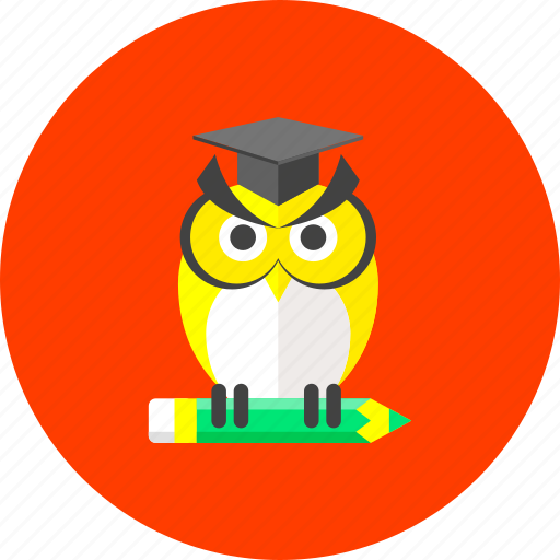 Owl, college, education, knowledge, read, student, study icon - Download on Iconfinder