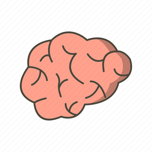 Brain, idea, mind icon - Download on Iconfinder