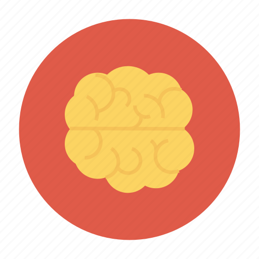 Brain, business, health, healthcare, learning, medical, meeting icon - Download on Iconfinder