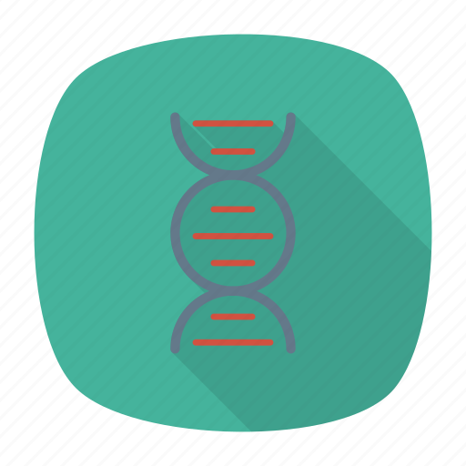 Biology, chemistry, dna, health, healthcare, hospital, medical icon - Download on Iconfinder