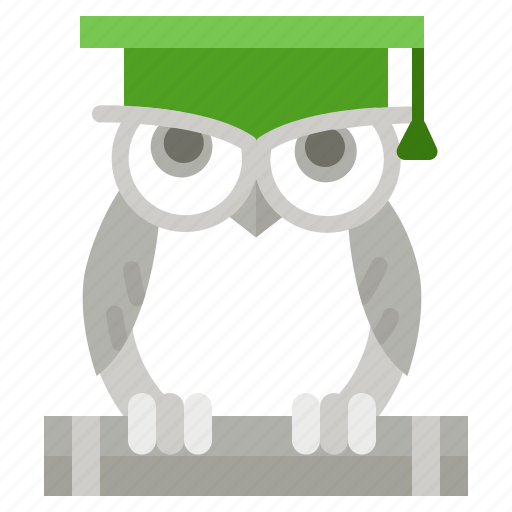 Academic hat, knowledge, owl, wisdom icon - Download on Iconfinder