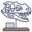 dinosaur, museum, paleontology, skull 