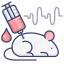 lab, mouse, rat, science 