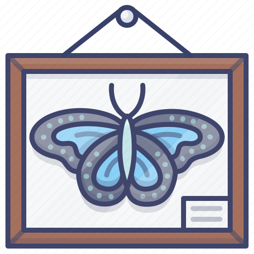Biology, butterfly, science, specimen icon - Download on Iconfinder