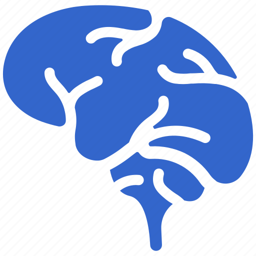 Brain, thinking, mind, psychology, head, neurology, knowledge icon - Download on Iconfinder