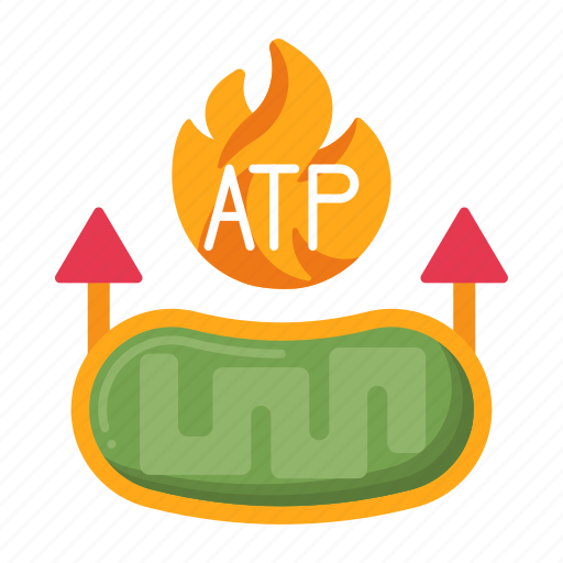 Atp, adenosine, triphosphate, cell icon - Download on Iconfinder