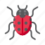 arthropod, beetle, ladybug, insect 