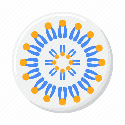 Cell, membrane, biology, organism icon - Download on Iconfinder
