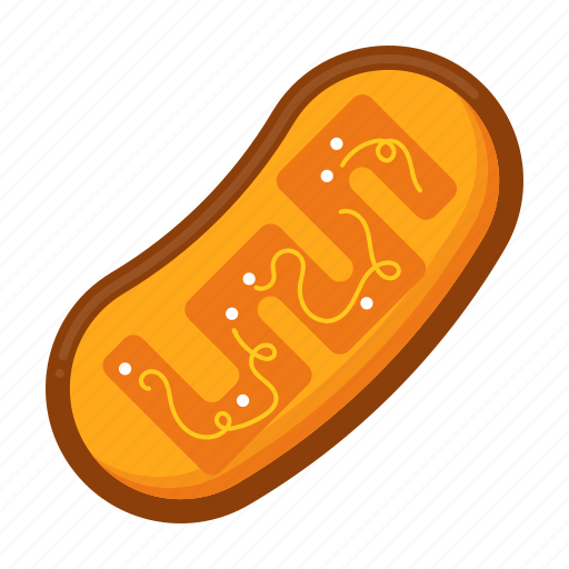 Cell, organelle, bacteria, microbe icon - Download on Iconfinder