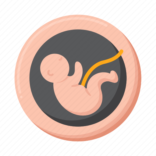 Embryo, baby, maternity, pregnancy icon - Download on Iconfinder
