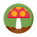 fungi, mushroom, nature, food