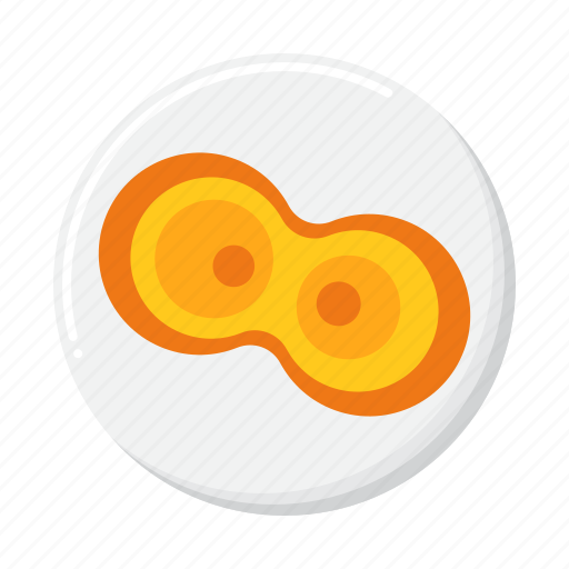 Mitosis, vegetative, cell, division icon - Download on Iconfinder