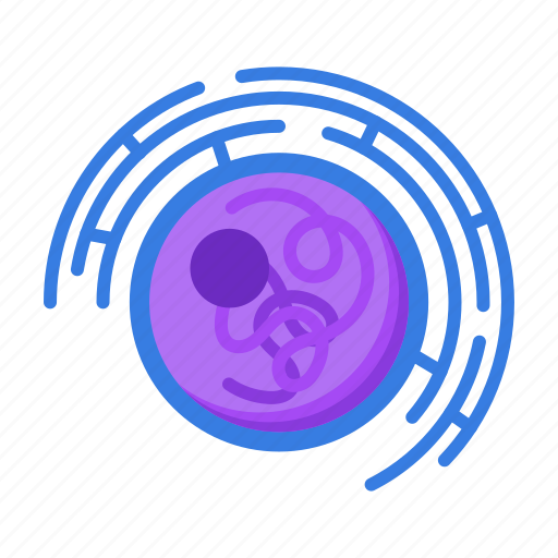 Nucleus, cell, virus, biology icon - Download on Iconfinder