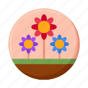 plant, flower, floral, ecology