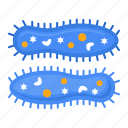 protozoa, cell, bacteria, virus
